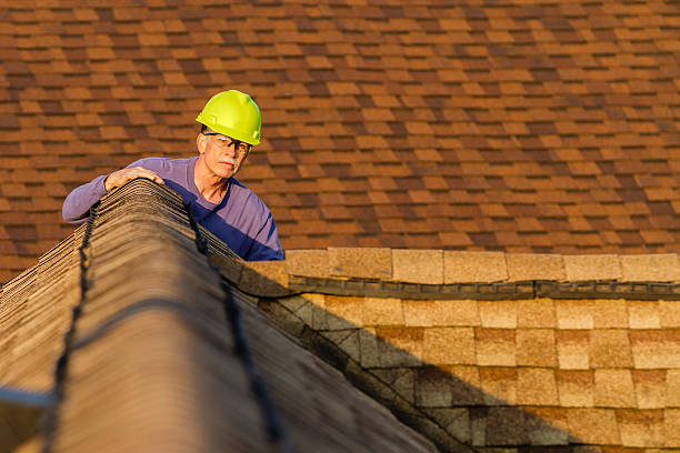 Best Roof Gutter Cleaning  in Six Shooter Canyon, AZ